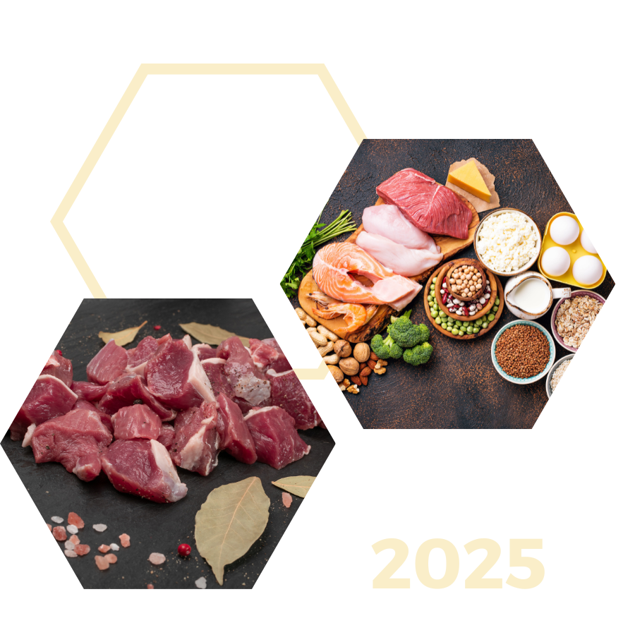 Trending Diets Landing Page Graphic